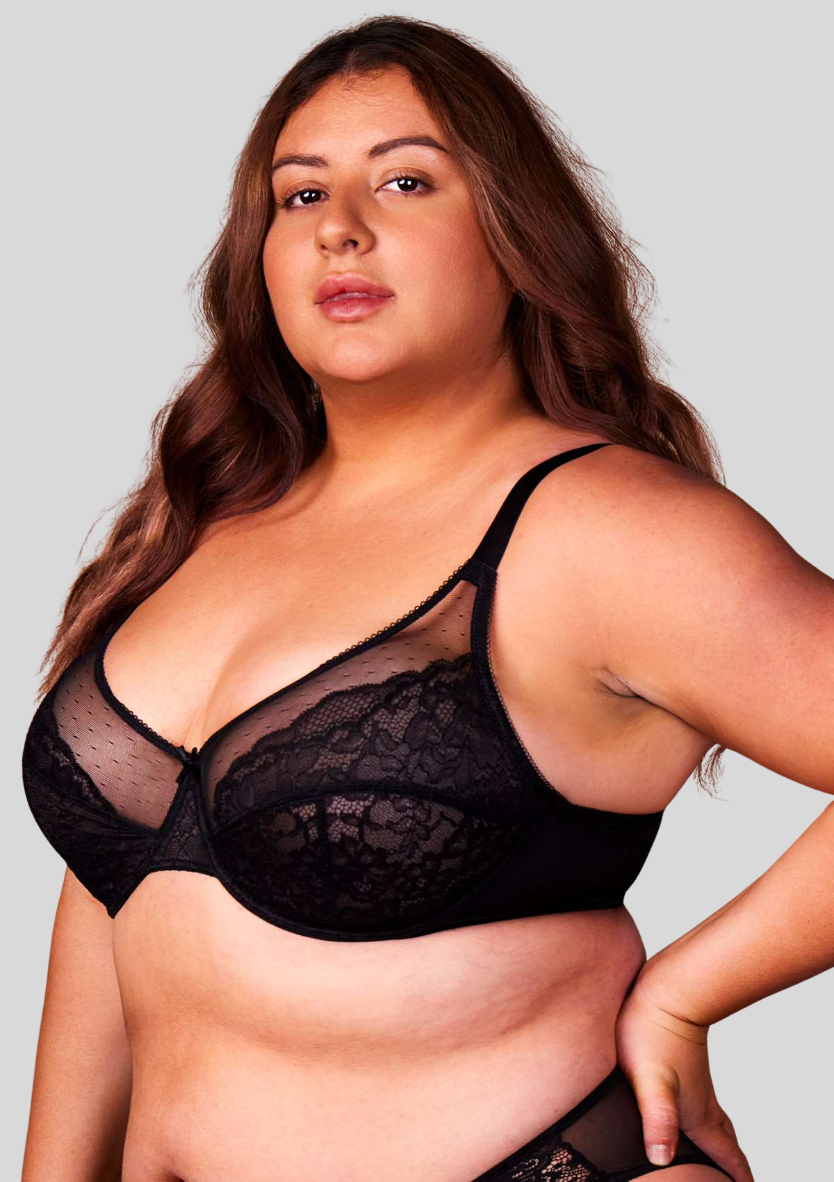 Shapea Minimizer-BH