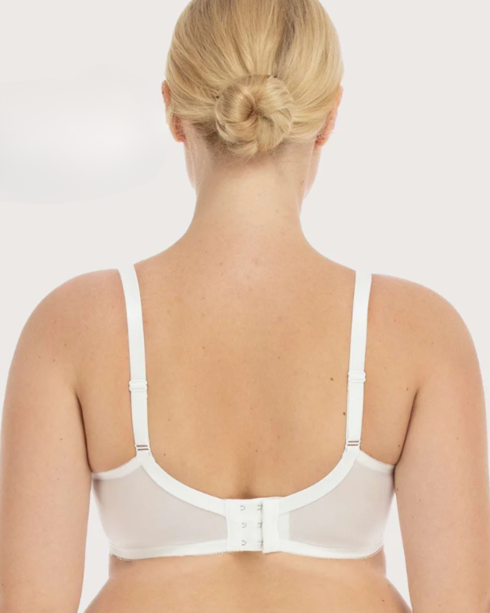 Shapea Minimizer-BH