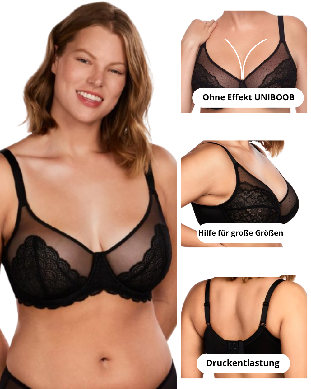 Shapea Minimizer-BH